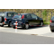 Afsp�rringsk�de af st�l | 10 m | usvejset, tr�dtykkelse 7 mm | galvaniseret og lakeret i henhold til RAL-farve